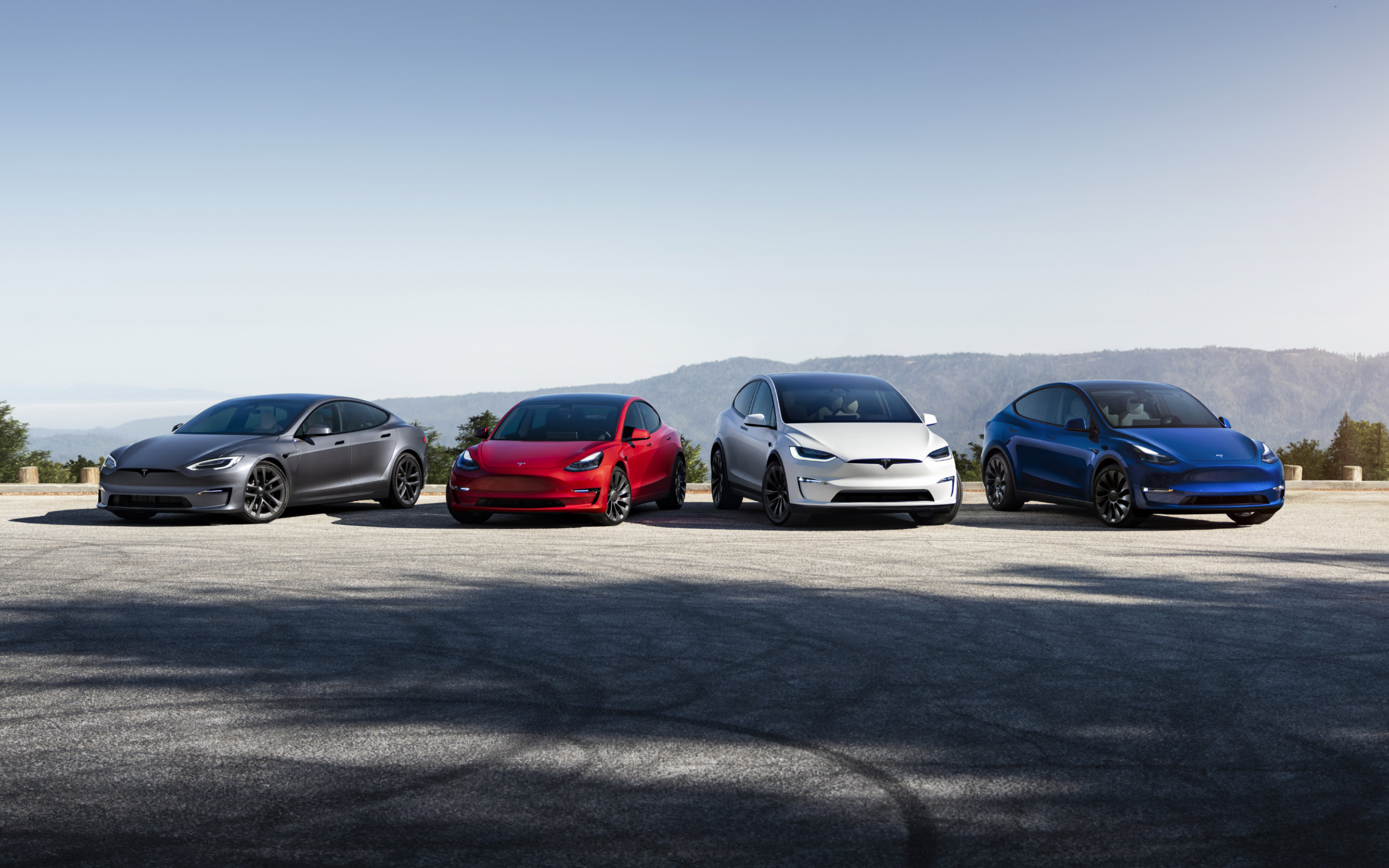 Picture of Teslas
